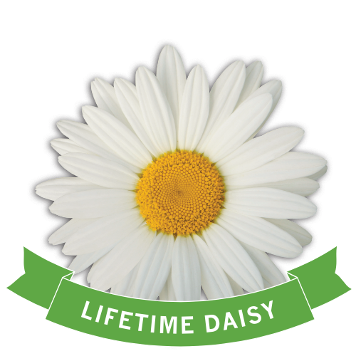 Lifetime Daisy Award Logo